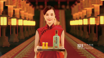 迎駕貢酒-央視投放品牌廣告片